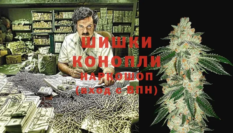 наркотики  Черкесск  Бошки марихуана Ganja 